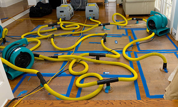 Professional Crawl Space Water Removal technician working in Harborcreek, PA